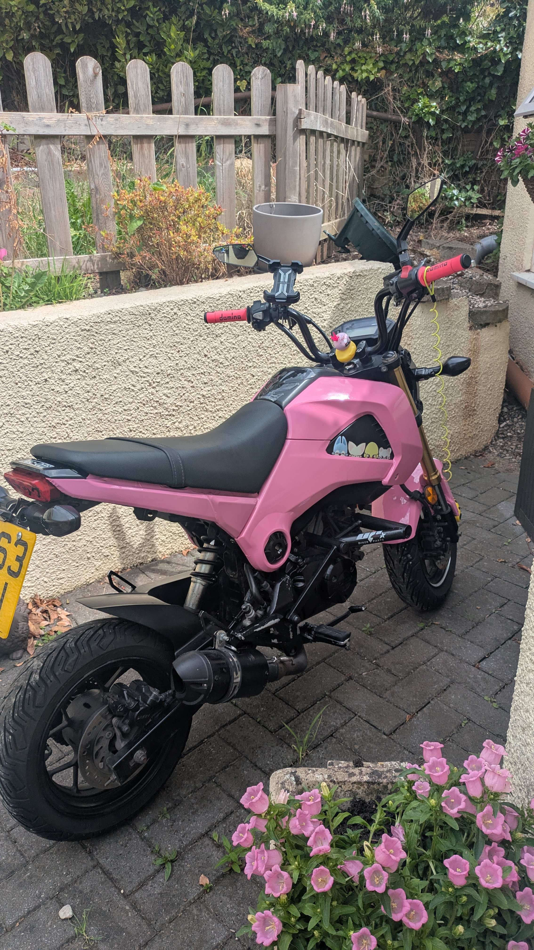 Honda MSX photo 2