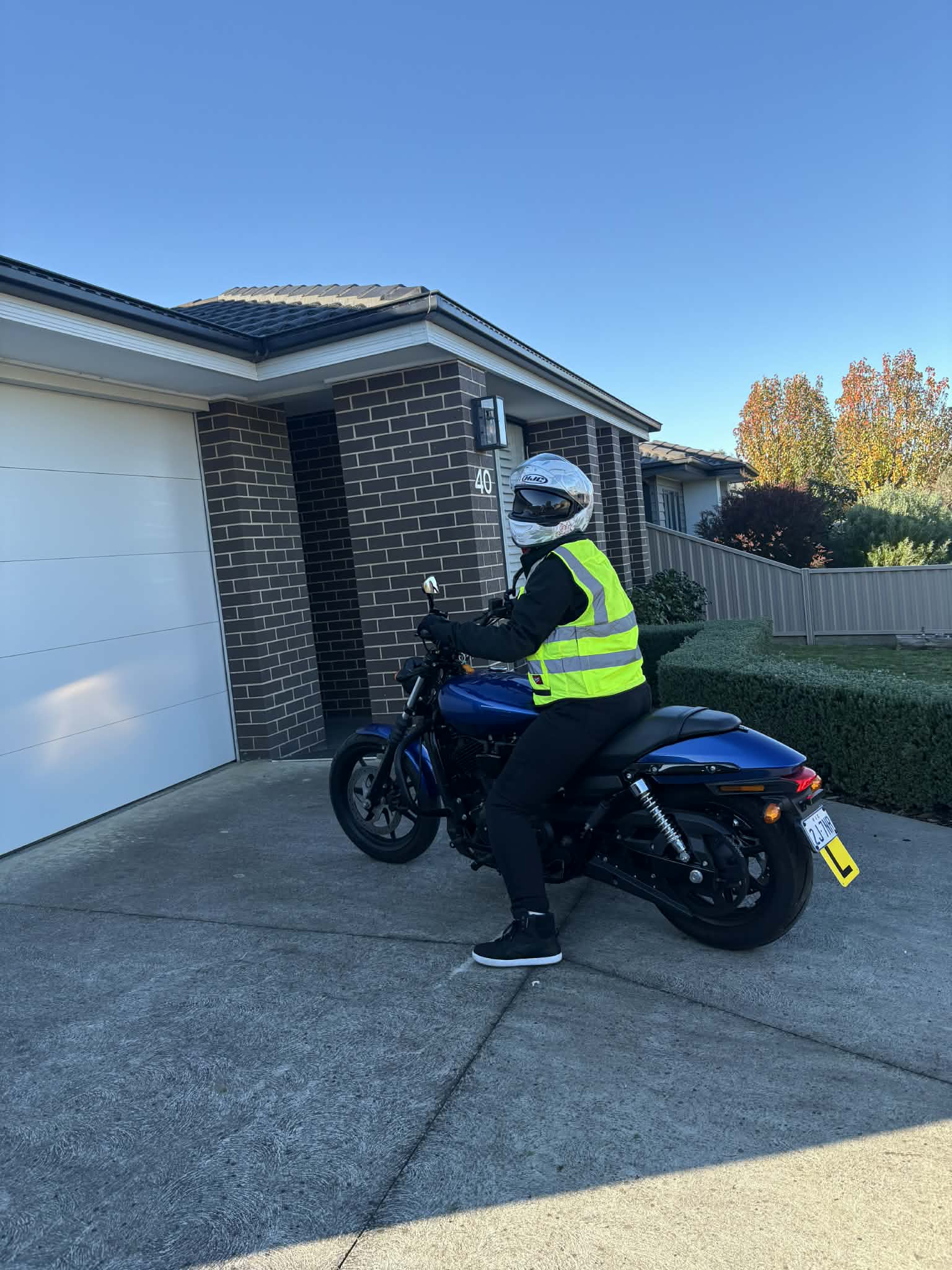 Harley-Davidson Street500xg photo 2